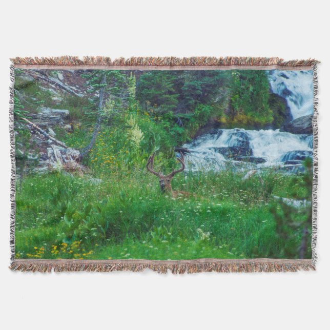Couverture Prince de la Forêt (Devant)