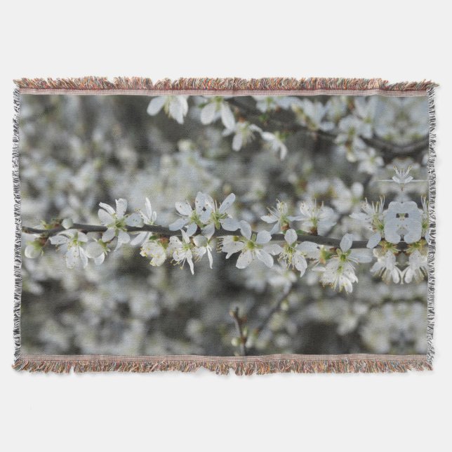 Couverture Printemps, Flore Blanche Photo Jetée Blanche (Devant)
