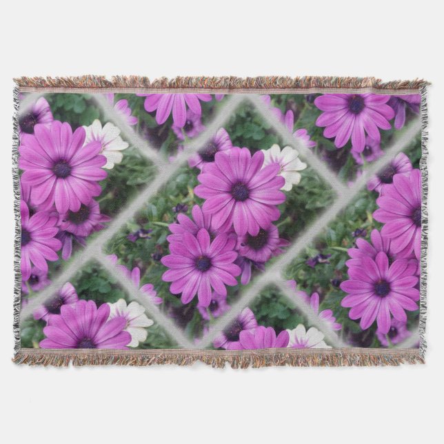 Couverture Purple daisies (Devant)