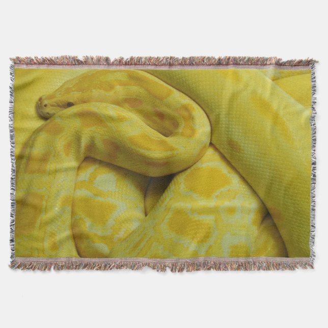 Couverture Python birman jaune (Devant)