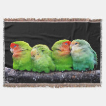 Quatre Petites Canaries