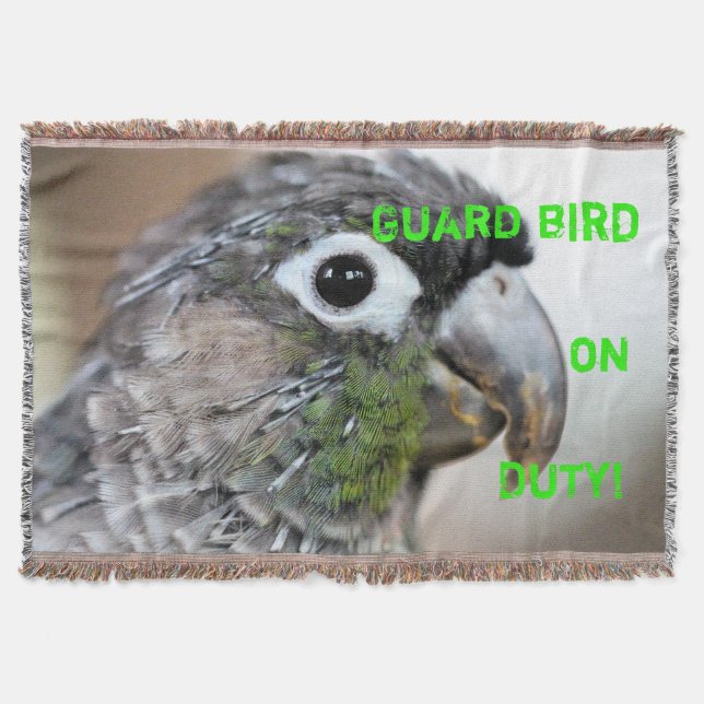 Couverture Quill city (Devant)