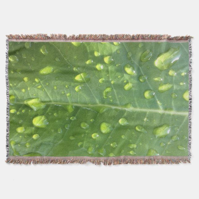Couverture Raindrops sur une feuille (Devant)