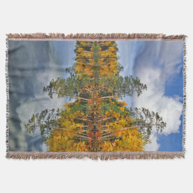 Couverture Reflets d'étang en automne, Maine (Devant)