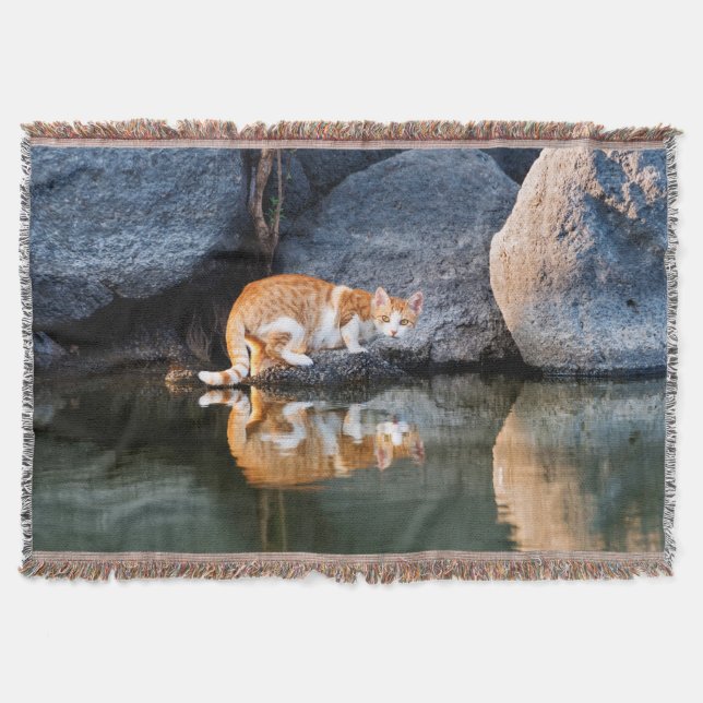 Couverture Réflexion de chat dans l'eau d'étang, confortable (Devant)
