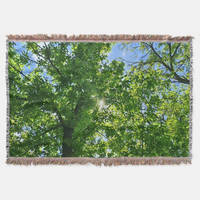 Couverture Regardant vers les feuilles vertes et le ciel bleu (Devant)