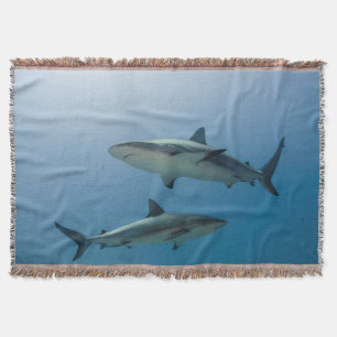 Couverture Requin des récifs des Caraïbes