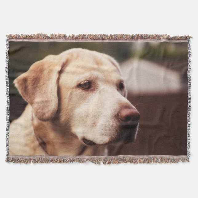 Couverture Retriever du Labrador (Devant)