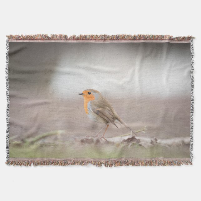 Couverture Robin Bird Nature Photo (Devant)