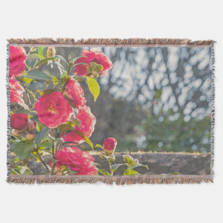 Couverture Roses 