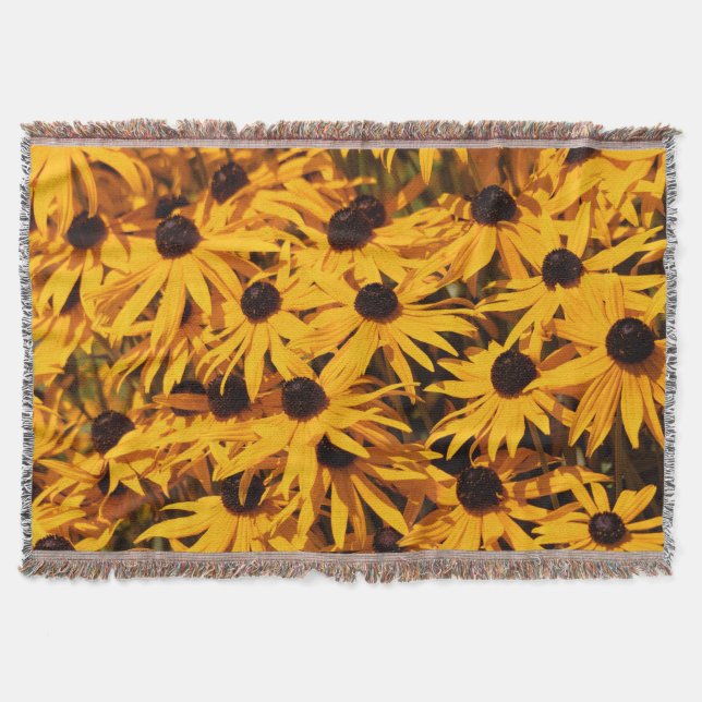 Couverture Rudbeckia Fulgida / Orange Coneflower (Devant)