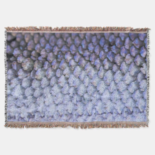 Couverture Saumon chatoyant (Devant)