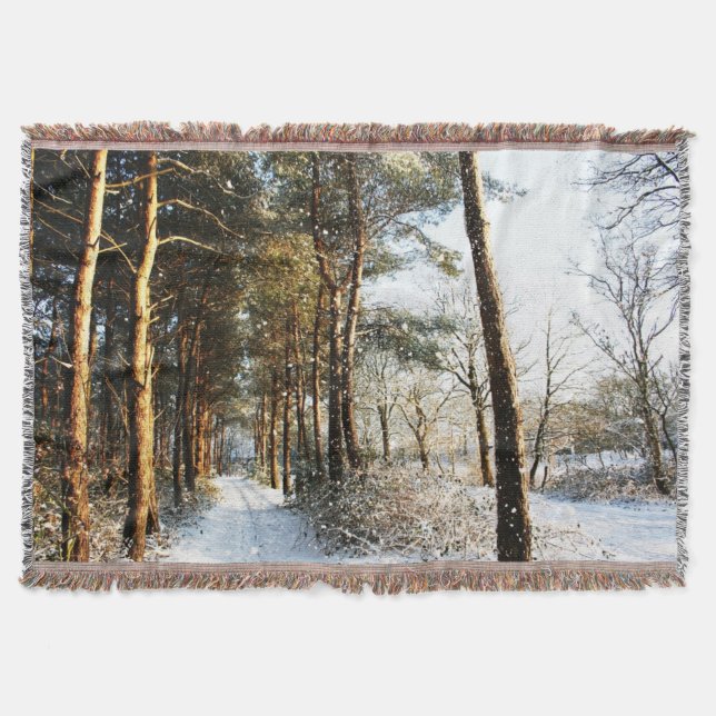 Couverture Scène de neige de la forêt tbcnm (Devant)