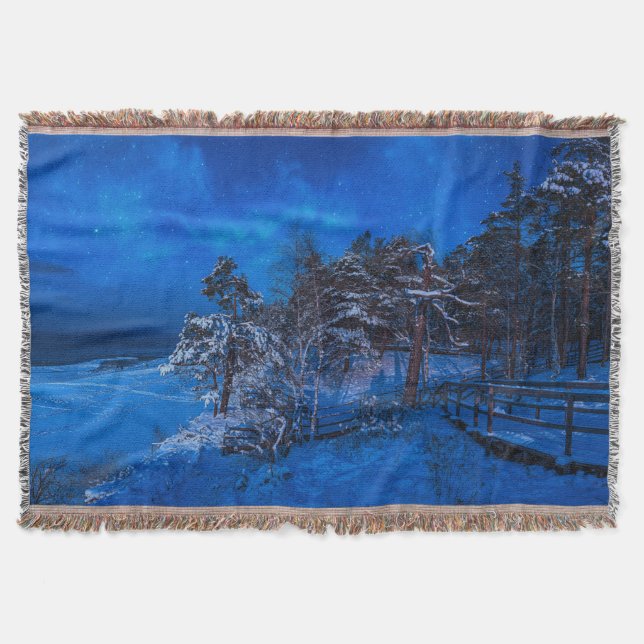Couverture Scène hivernale nocturne avec pins enneigés (Devant)