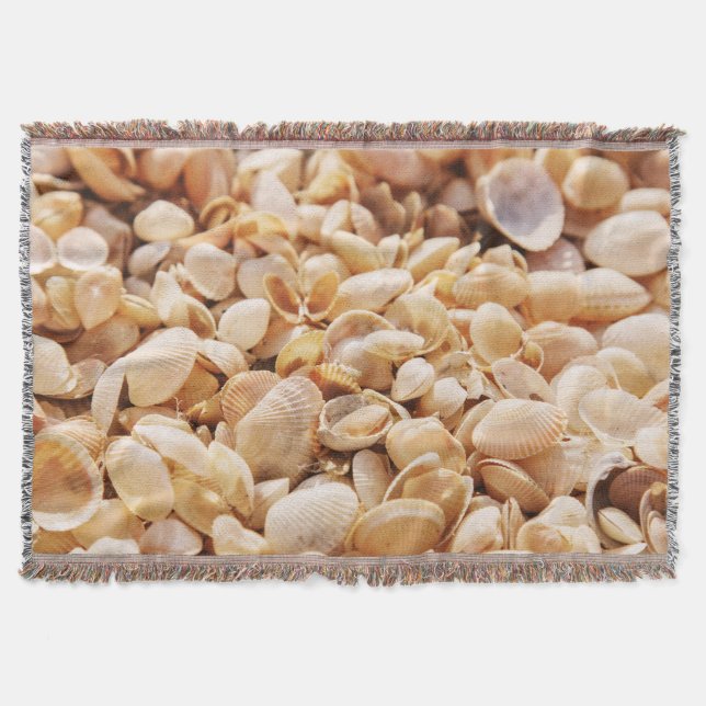 Couverture Sea Beach Shell : Arrière - plan texturé en été (Devant)