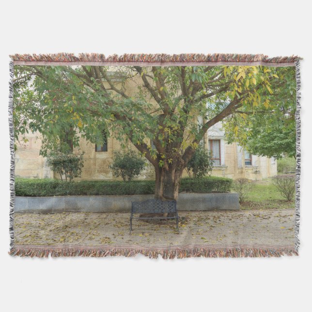 Couverture Série Li Garden : Échos sous l'arbre (Devant)