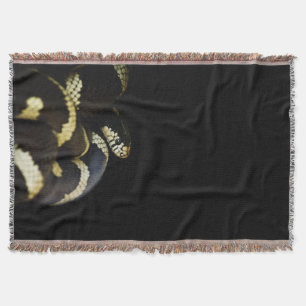 Couverture Serpent royal de Californie