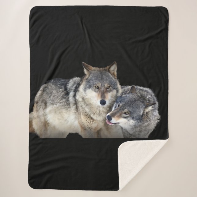 Couverture Sherpa (Devant)