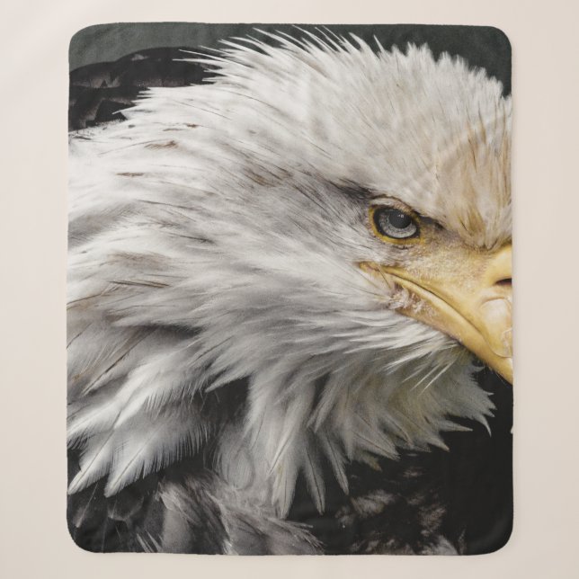 COUVERTURE SHERPA AIGLE (Devant)