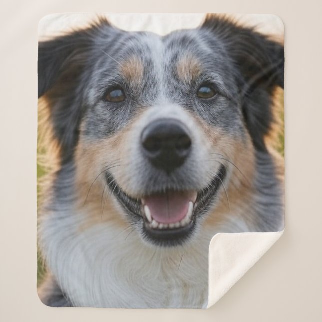 Couverture Sherpa Ajouter une Personnaliser photo pour animaux domes (Devant)