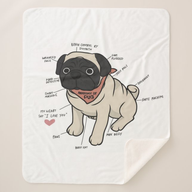 Couverture Sherpa Anatomie Du Chien Carlin Graphique (Devant)