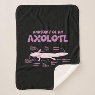 Couverture Sherpa anatomie d'un axolotl axolotls biologie science .