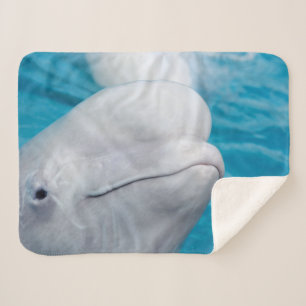 Couverture Sherpa Animal marin de la petite baleine béluga