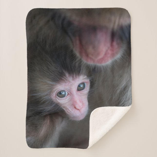 Couverture Sherpa Animaux de bébés cutest | Bébé Macaque singe et mè (Devant)