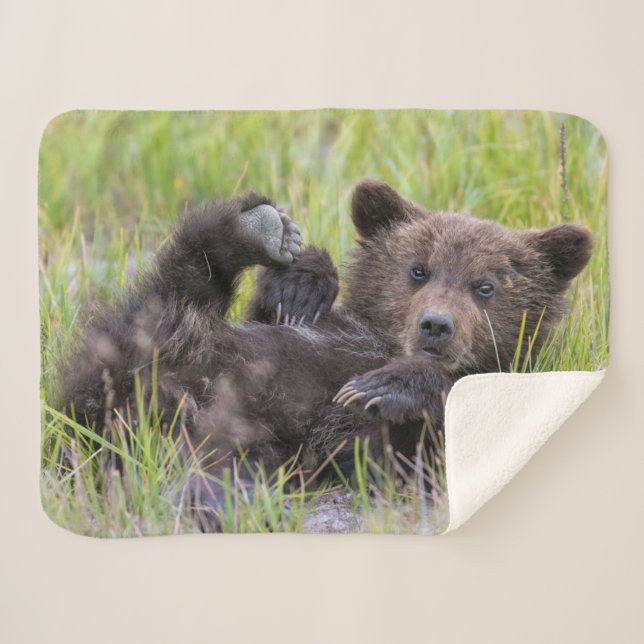 Couverture Sherpa Animaux de bébés cutest | Bébé Ours Brown (Devant (Horizontal))