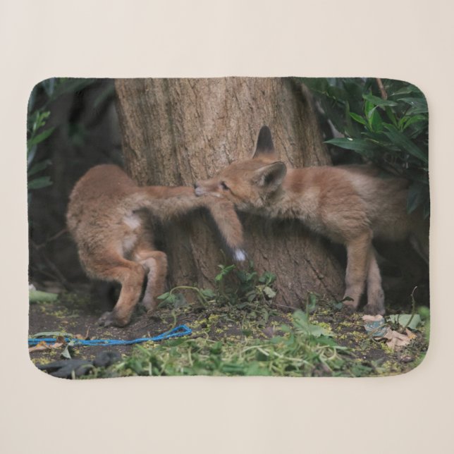 Couverture Sherpa Animaux de bébés cutest | Bébé Renards Jouer (Devant (Horizontal))