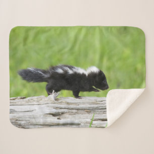 Couverture Sherpa Animaux de bébés cutest Bébé Skunk