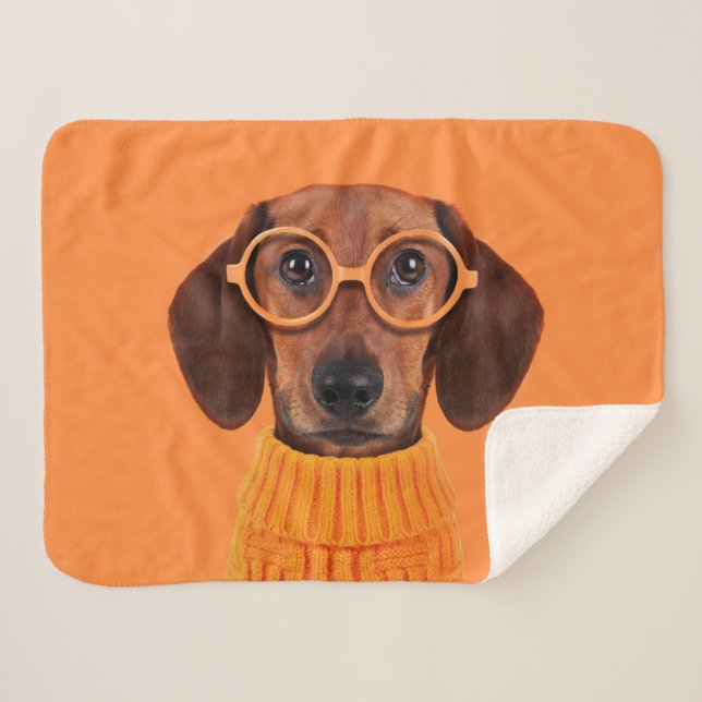 Couverture Sherpa Animaux de bébés cutest | Chandail orange Dachshun (Devant (Horizontal))