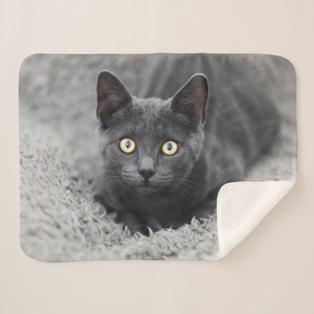 Couverture Sherpa Animaux de bébés cutest | Chat gris (Devant (Horizontal))