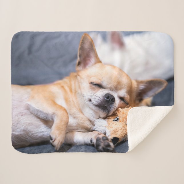 Couverture Sherpa Animaux de bébés cutest | Chihuahua Chig aux cheve (Devant (Horizontal))