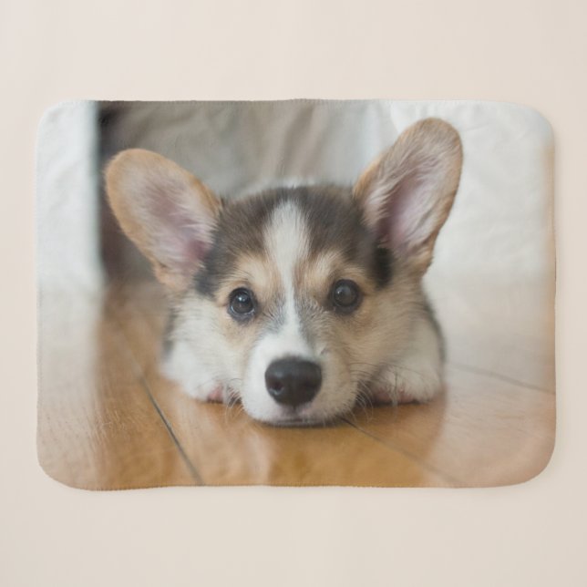 Couverture Sherpa Animaux de bébés cutest | Corgi Puppy (Devant (Horizontal))