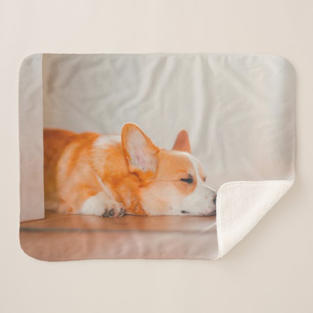 Couverture Sherpa Animaux de bébés cutest | Corgi Sleeping (Devant (Horizontal))