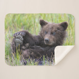 Couverture Sherpa Animaux de bébés cutest Cute Brown Bear Cub Joue