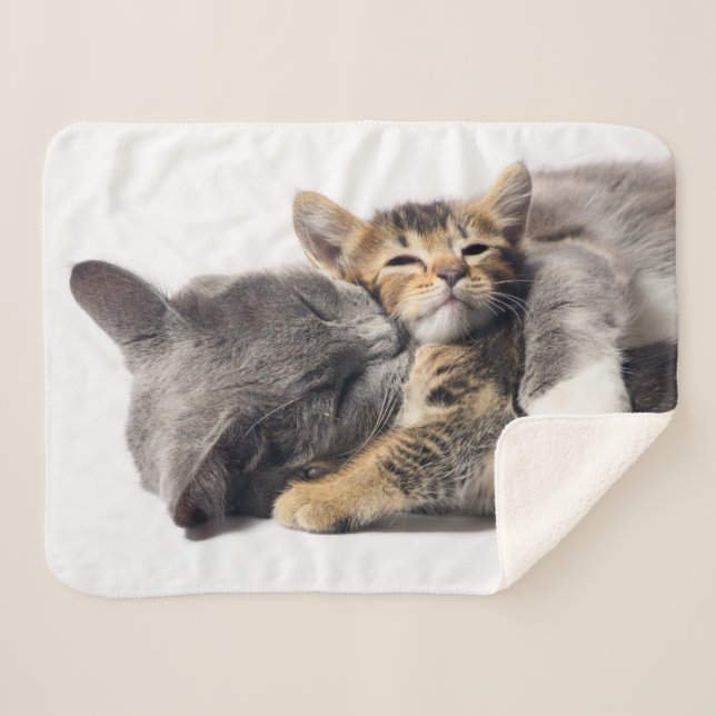 Couverture Sherpa Animaux de bébés cutest | Cute Kitten Hug (Devant (Horizontal))