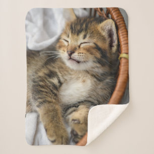 Couverture Sherpa Animaux de bébés cutest Cute Tabby Chat Dormir