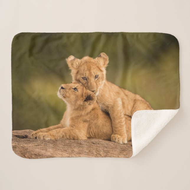 Couverture Sherpa Animaux de bébés cutest | Deux Lions Cubs (Devant (Horizontal))