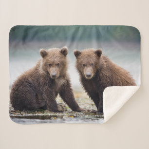 Couverture Sherpa Animaux de bébés cutest Deux petits ours d'ours