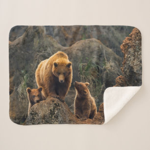 Couverture Sherpa Animaux de bébés cutest Famille d'ours Brown