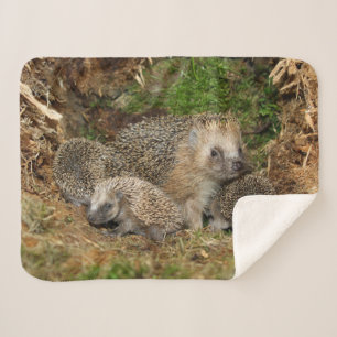Couverture Sherpa Animaux de bébés cutest Famille Hérisson