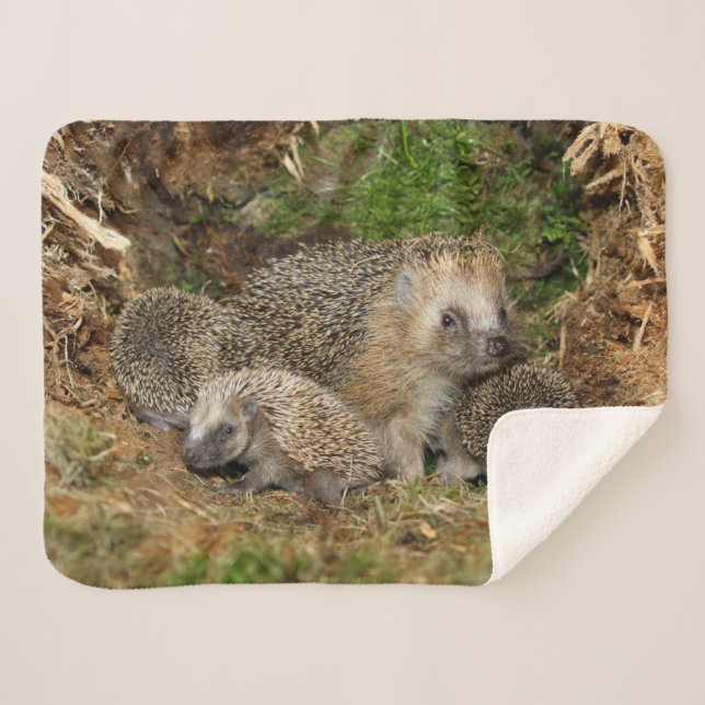 Couverture Sherpa Animaux de bébés cutest | Famille Hérisson (Devant (Horizontal))