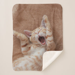 Couverture Sherpa Animaux de bébés cutest Ginger Kitten Yawning
