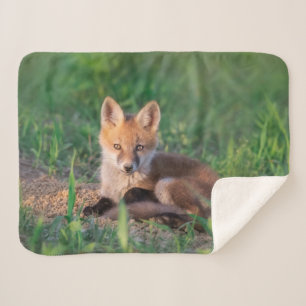 Couverture Sherpa Animaux de bébés cutest   Kit Red Fox Relaxant