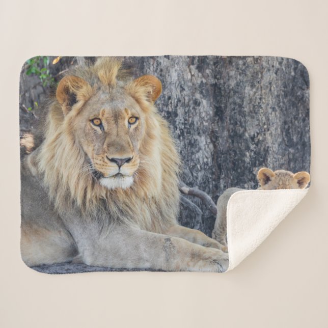 Couverture Sherpa Animaux de bébés cutest | Lion Dad & Cub (Devant (Horizontal))