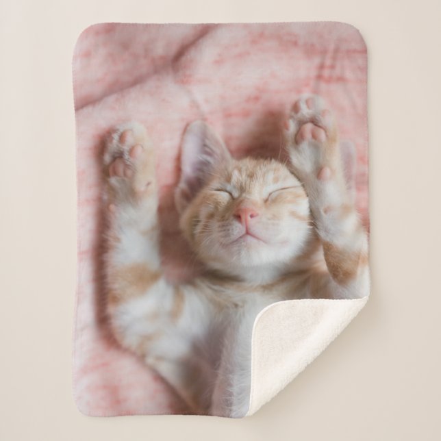 Couverture Sherpa Animaux de bébés cutest | Minuscule chaton rayé or (Devant)