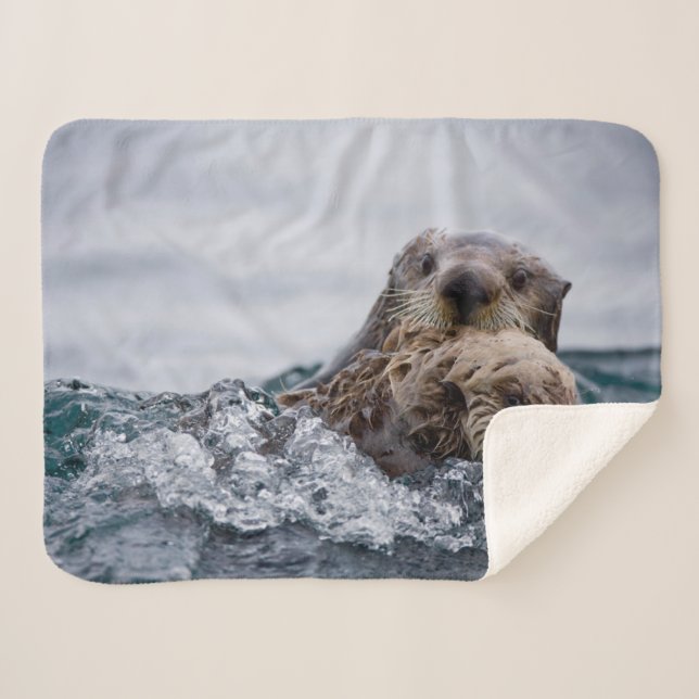 Couverture Sherpa Animaux de bébés cutest | Otter Baby & Mère (Devant (Horizontal))