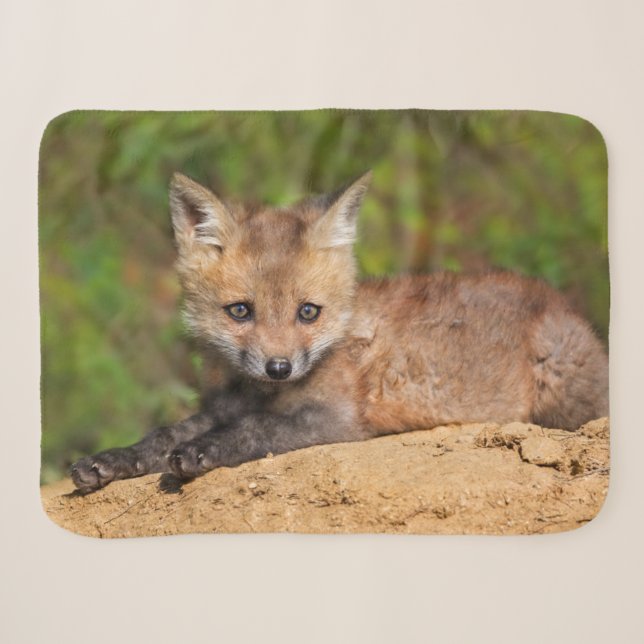 Couverture Sherpa Animaux de bébés cutest | Red Fox Pup (Devant (Horizontal))